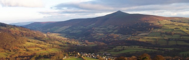 Welsh Tints