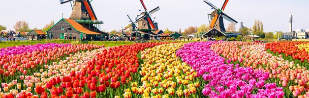 Holland – Dutch Bulbfields, Amsterdam & Volendam