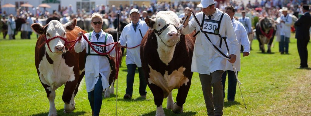 Yorkshire Show